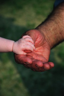 Bebek ' yetişkin elini tutarak el