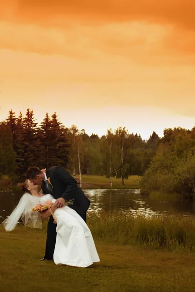 Matrimonio. Un tuffo e un bacio — Foto Stock