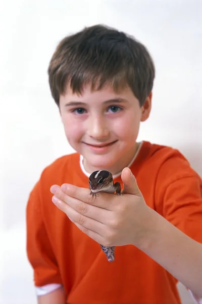 Jongen en hagedis — Stockfoto