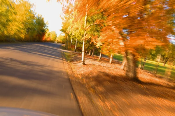 Schilderachtige weg — Stockfoto