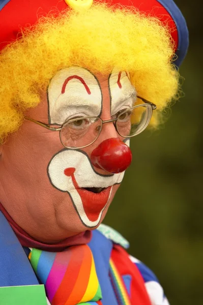 Clown i gräs — Stockfoto