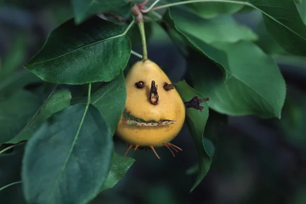 Pear With Face — Stock Photo, Image