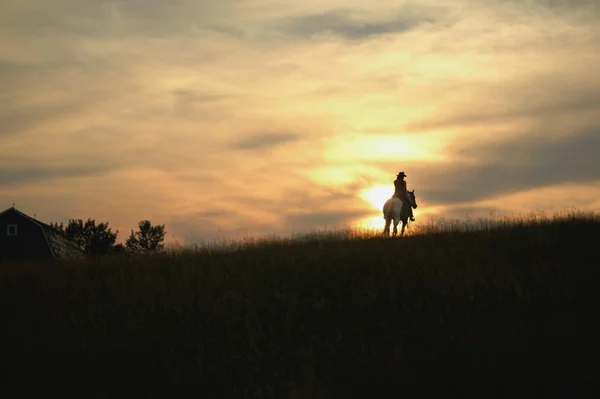 Silhouette of Horseback Rider — Stock Photo, Image