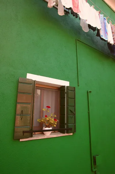 Flowers Displayed On Window Sill — Stock Photo, Image