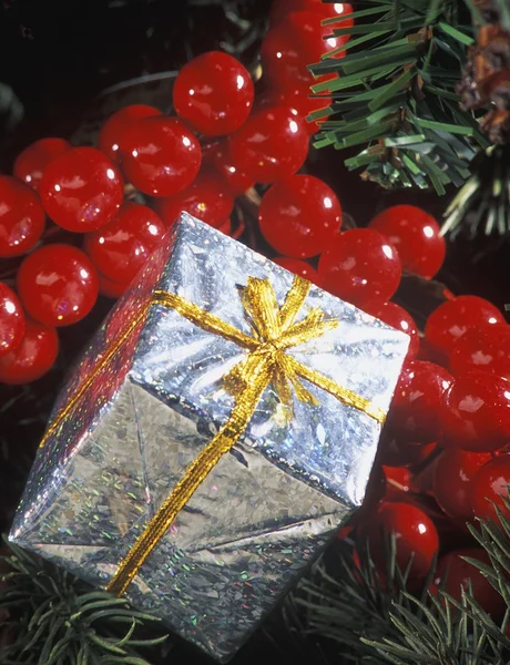 Adornos del árbol de Navidad — Foto de Stock