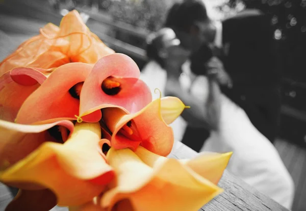 Beautiful Bouquet — Stock Photo, Image