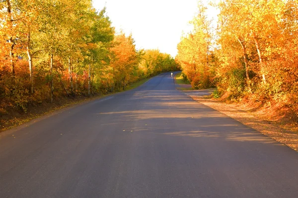 Sonbaharda doğal yol — Stok fotoğraf