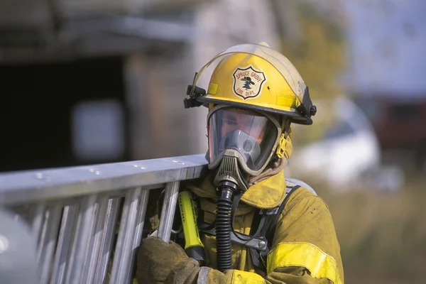 Brandweerman boekwaarde ladder — Stockfoto