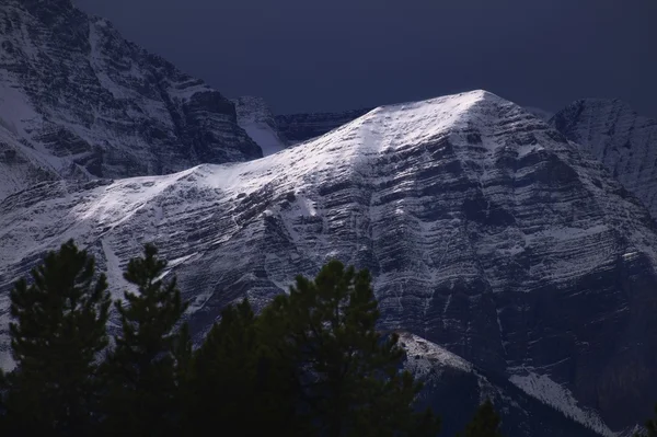 Sneeuw bedekte berg jasper nationaal park alberta — Stockfoto