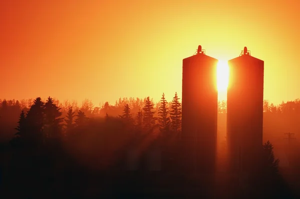 Storage Tanks — Stock Photo, Image