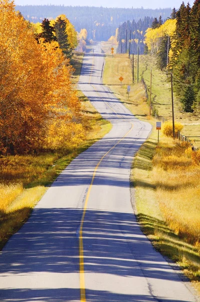 Verlaten weg — Stockfoto