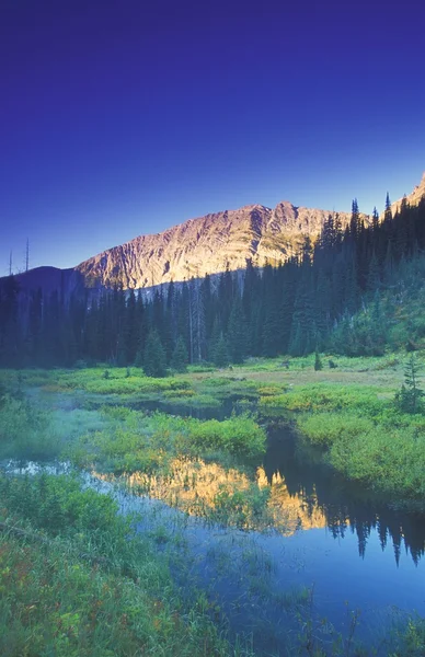 Kleine rustige berg creek — Stockfoto