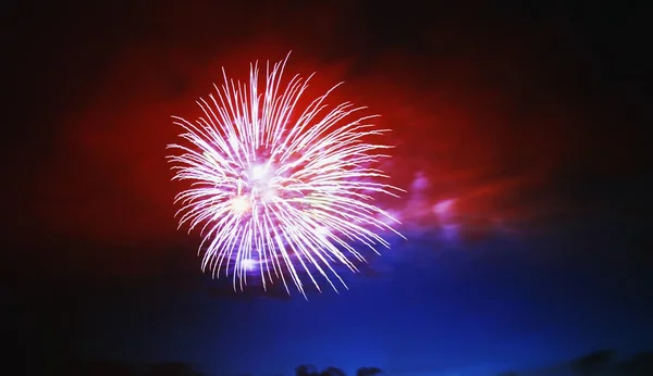 Fuegos artificiales púrpura — Foto de Stock