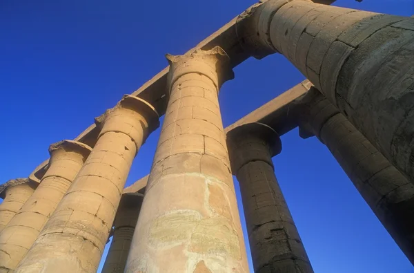 Pilares en Luxor, Egipto — Foto de Stock