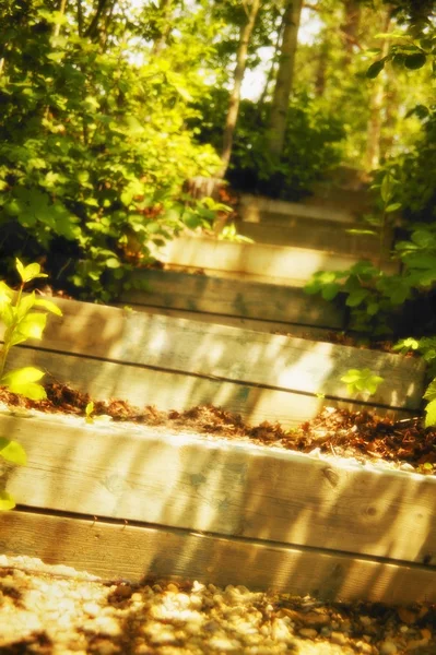 Outdoor Stairway — Stock Photo, Image