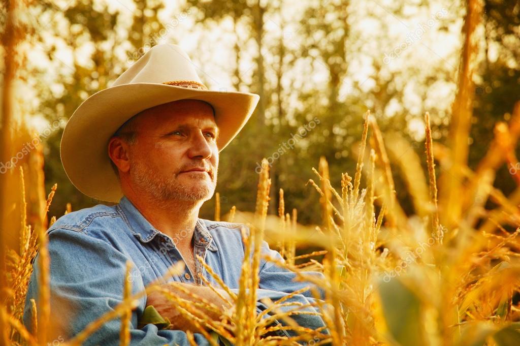 Cowboy In Wheat Field Stock Photo by ©DesignPicsInc 31603329