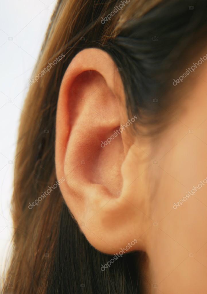 Female Ear — Stock Photo © DesignPicsInc 31605057