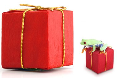 Kurbağa ile büyük ve küçük kırmızı paketleri
