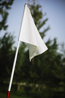 golf sahasında bayrak