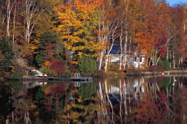 Göl utumn tbees raflection