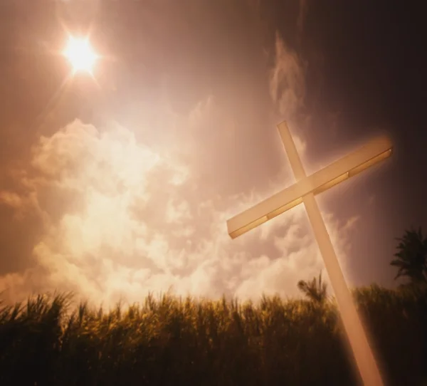 Uma cruz contra um campo de cana de açúcar — Fotografia de Stock