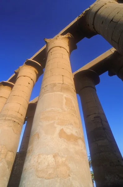 Pillars In Luxor, Egypt — Stock Photo, Image