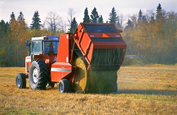 Tractor haciendo balas — Foto de Stock