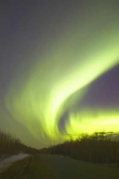 Kuzey ışıkları alberta Kanada — Stok fotoğraf