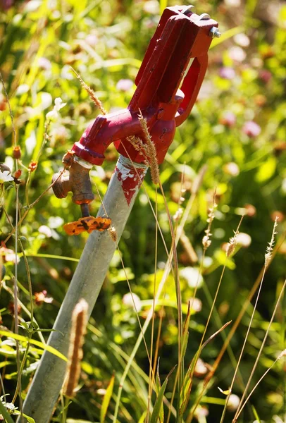 Ein Wasserhahn auf einem Feld — Stockfoto