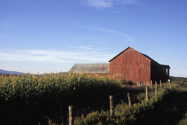 Terres agricoles largement ouvertes — Photo