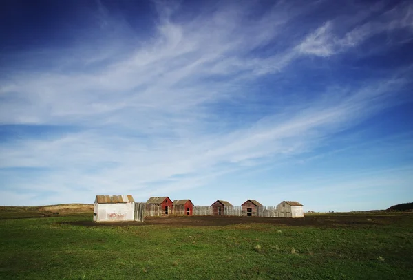 Old Buildings In Field — Stock Photo, Image