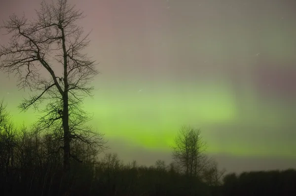 Luces boreales — Foto de Stock