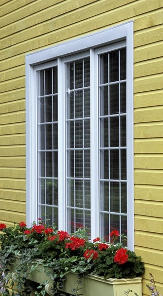 Window Exterior And Window Box — Stock Photo, Image