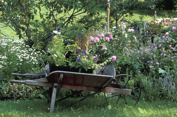 Pretty Cottage Garden — Stock Photo, Image