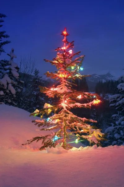 Geceleyin açık havada Noel ağacı — Stok fotoğraf