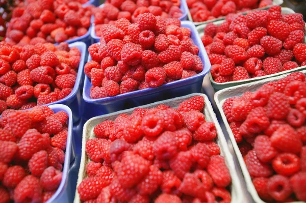 Raspberries In Cartons — Stock Photo, Image