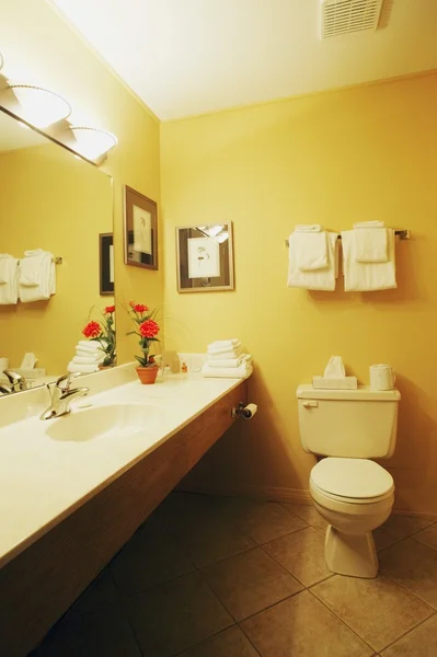 Intérieur A Salle de toilettes — Photo