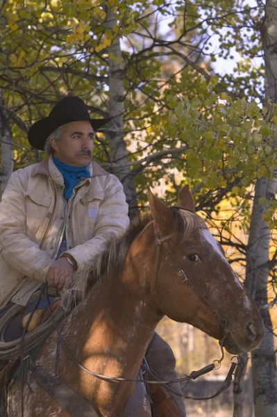 Cowboy in zadel — Stockfoto