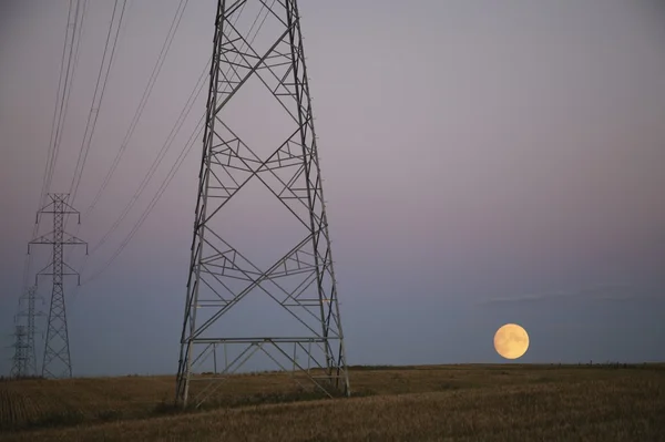 Polony elektroenergetyczne — Zdjęcie stockowe