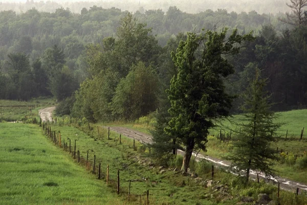 Campagne pittoresque verte — Photo