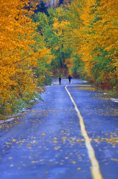 Duas pessoas correndo na estrada no parque no outono — Fotografia de Stock
