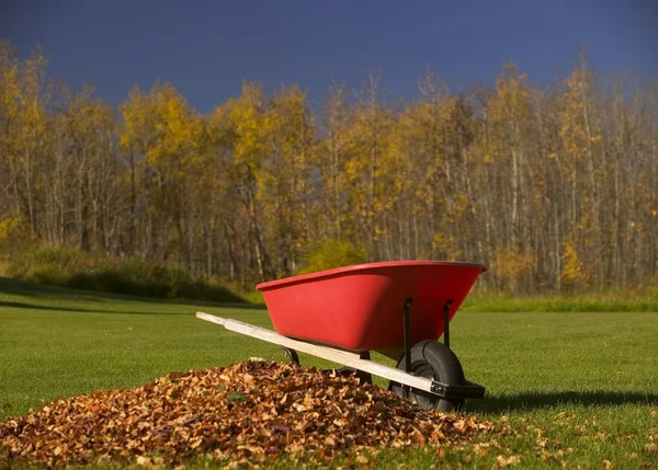 Wheel Barrel Beside Pile Of Leaves — Stock Photo, Image