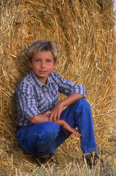 干し草のベールに座っている若い男の子 — ストック写真
