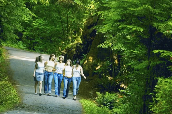 Grupo de meninas caminhando através da floresta — Fotografia de Stock