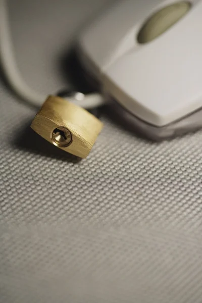 Padlocked Computer Mouse — Stock Photo, Image