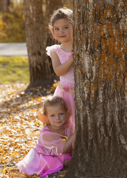 在秋天的树林中的两个小仙女女孩 — 图库照片