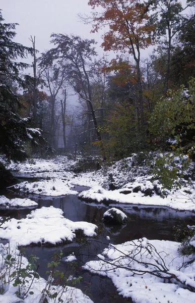 País das maravilhas do inverno — Fotografia de Stock