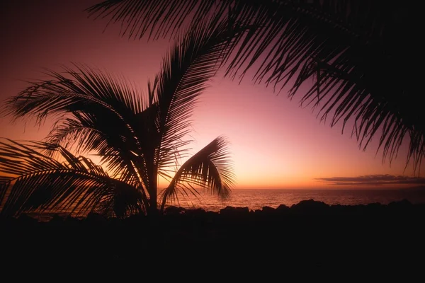 Pôr do sol tropical romântico — Fotografia de Stock
