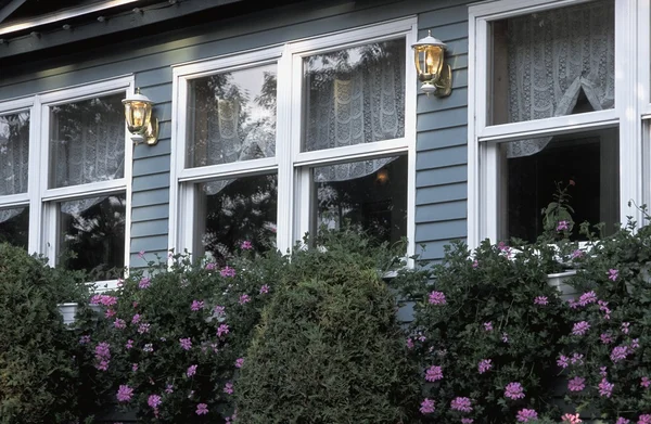 Utsidan av huset och trädgårdsväxter — Stockfoto