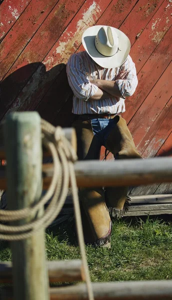 Cowboy vilar — Stockfoto